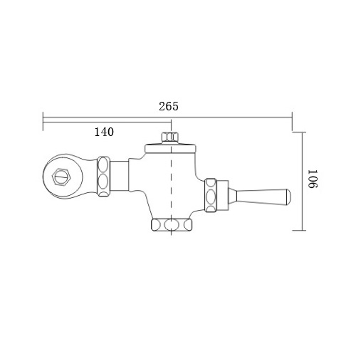 DBSN-14-c.jpg